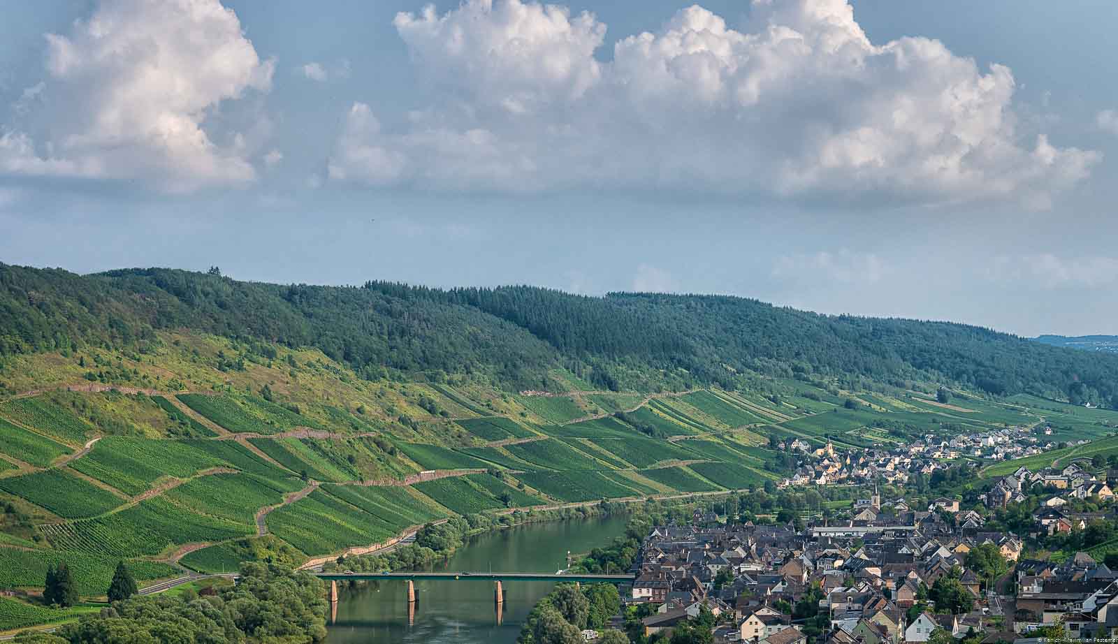Rechts der Mosel liegt der Ort Reil. Auf den linken Ufer liegen die Weinberg und der Burger Thomasberg. Im Hintergrund liegt der Ort Burg.