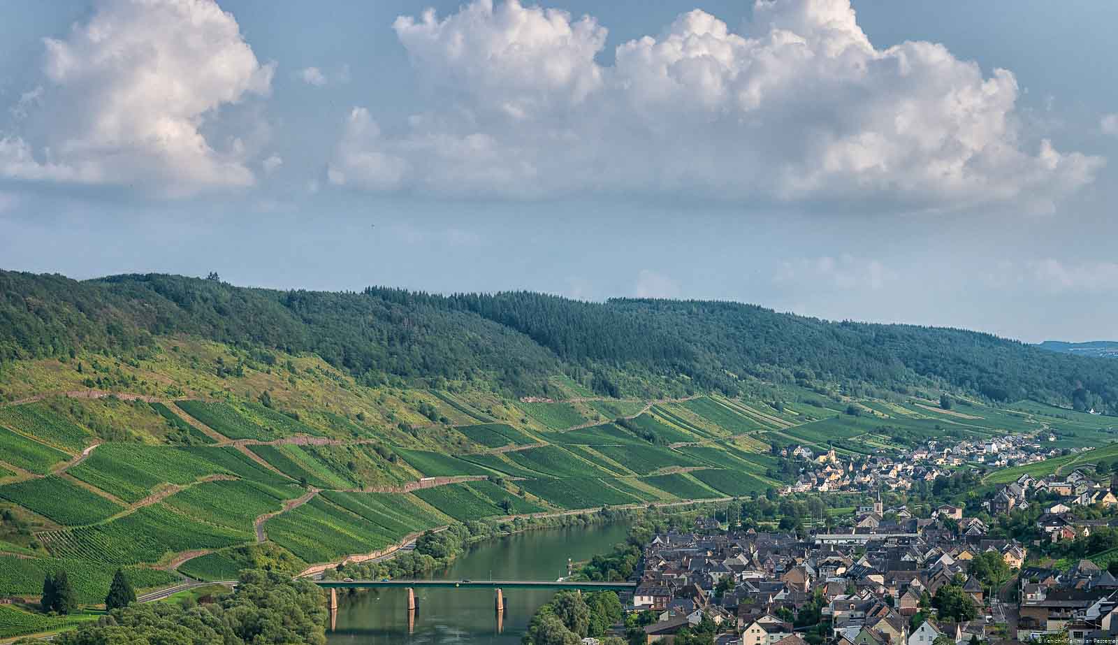 In der Mitte fließt die Mosel. Am linken Ufer liegen die Weinberge und das Burger Wendelstück. Am rechten Ufer liegt der Ort Reil.