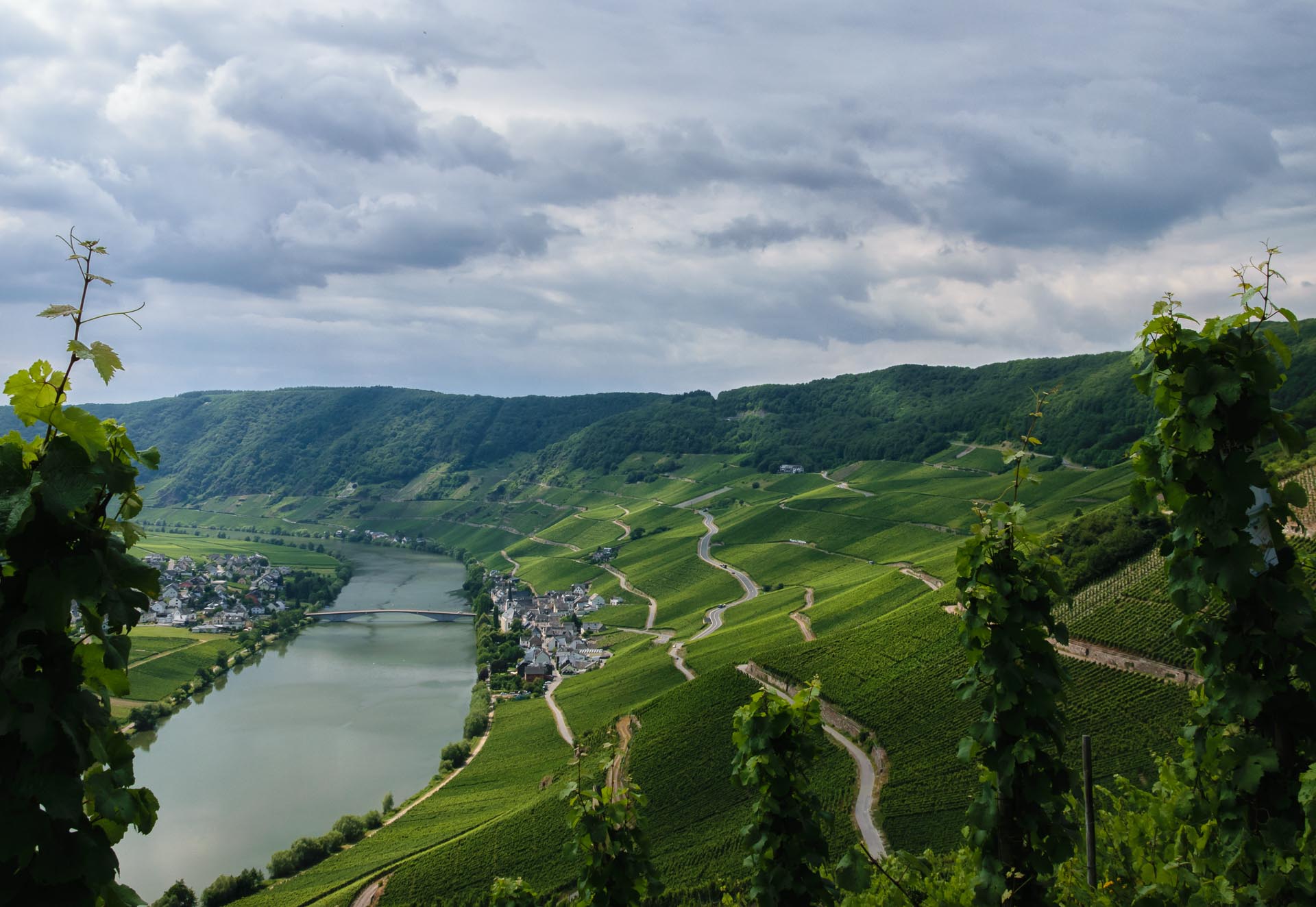 Der Weinberg Piesporter Goldtröpfchen liegt in einem natürlichen Amphitheater rund um den Ort Piesport an der Mosel
