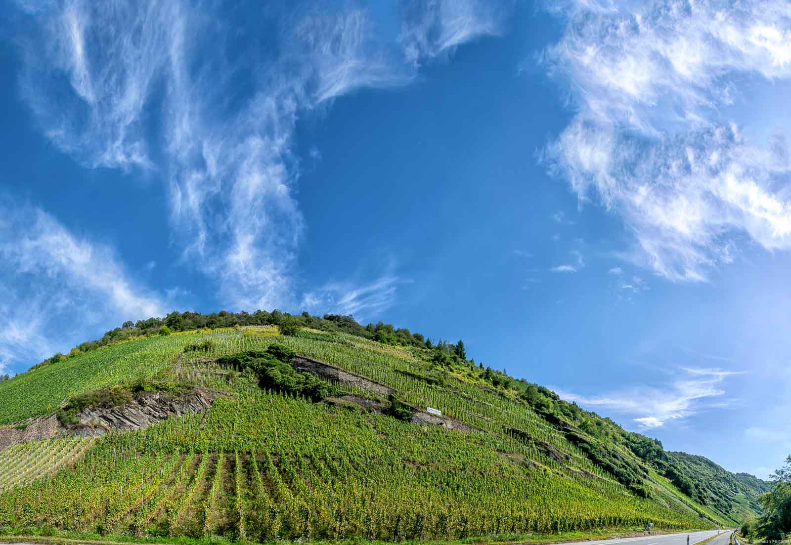 Es ist der steile Weinberg Enkircher Batterieberg beim Ort Enkirch an der Mosel. Der Himmel ist blau mit Wolken.