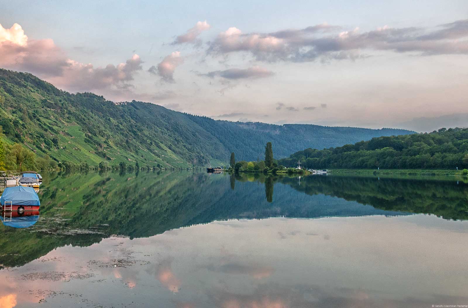 Auf der linken Seite des Ufer liegt der Weinberg Enkircher Ellergrub hinter dem Weinberg Zeppwingert. Vorne fließt der Fluss Mosel. Am blauen Himmel sind rosa Wolken.