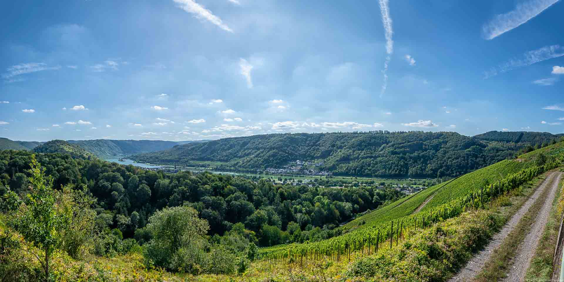 Auf der anderen Uferseite der Mosel erkennt man Kövenig. Vorne liegt der Weinberg Enkircher Monteneubel.
