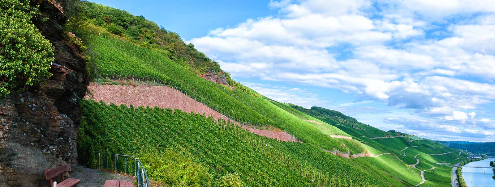 Oberhalb des Erdener Treppchens liegt der Erdener Herrenberg