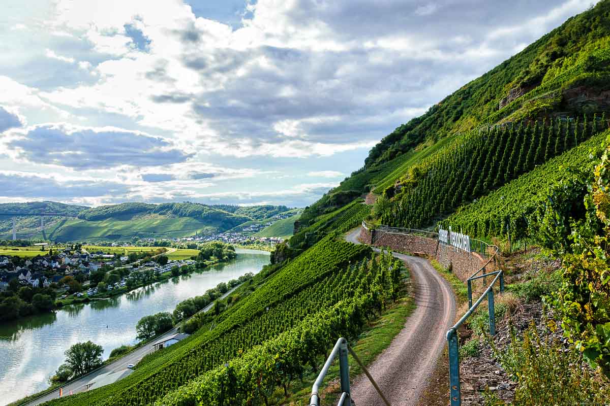 Gegenüber von Erden liegt das Erdener Treppchen. Es ist Weinberg der ersten Güteklasse.