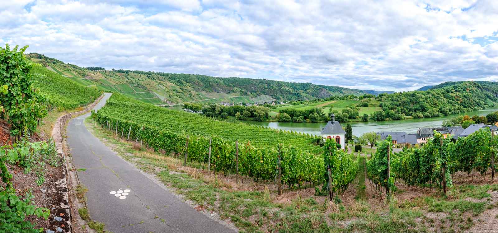 Weg, Weinberge Kröver Letterlay und Wolfer Schatzgarten, Fluss Mosel und bewölkter Himmel