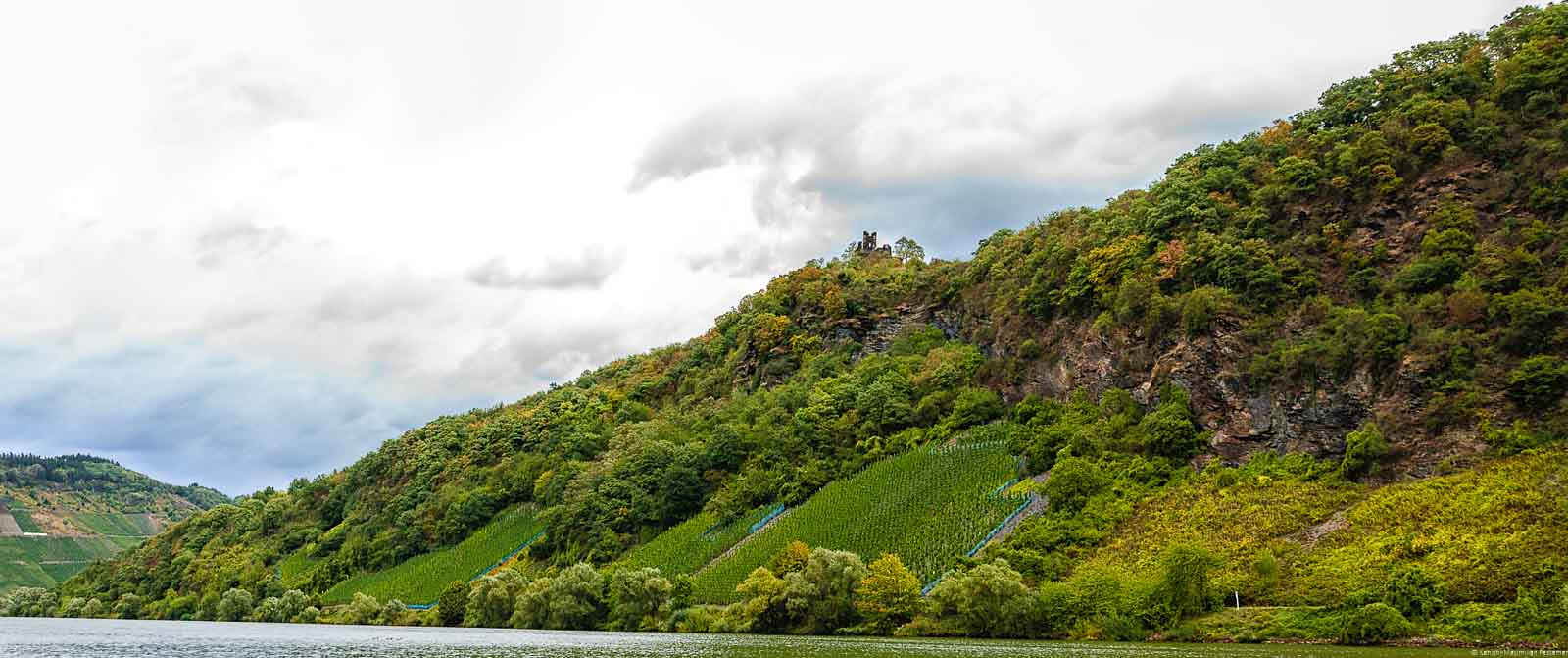Vorne fließt der Fluss Mose. Dahinter türmt sich der steile Weinberg Kröver Paradies auf. Oberhalb des Weinberges erkennt man Wald, Felsen und eine Ruine. Der Himmel ist bewölkt.