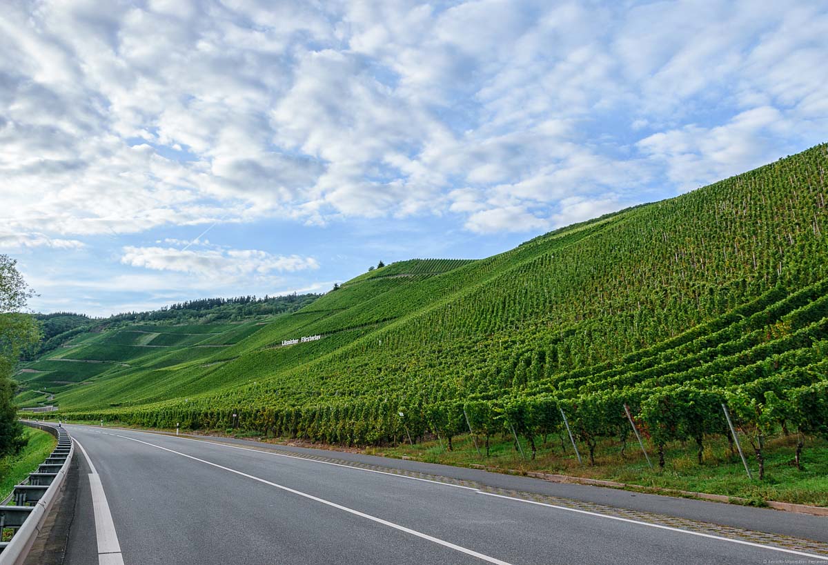 Neben dem Erdener Treppchen erstreckt sich die Lösnicher Försterlay als Weinberg entlang der Mosel. Vorne verläuft links eine Straße. Der blaue Himmel oben ist stark bewölkt.