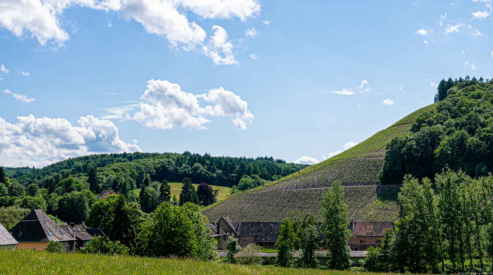 Weinberg Brüderberg hinter Ort umgeben von Wald mit wenigen Wolken am blauen Himmel