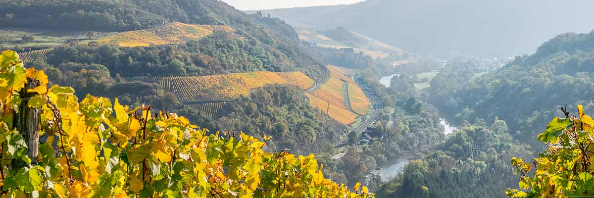 Fluss Nahe, bewaldete Hänge, orange und rot gefärbte Weinberge