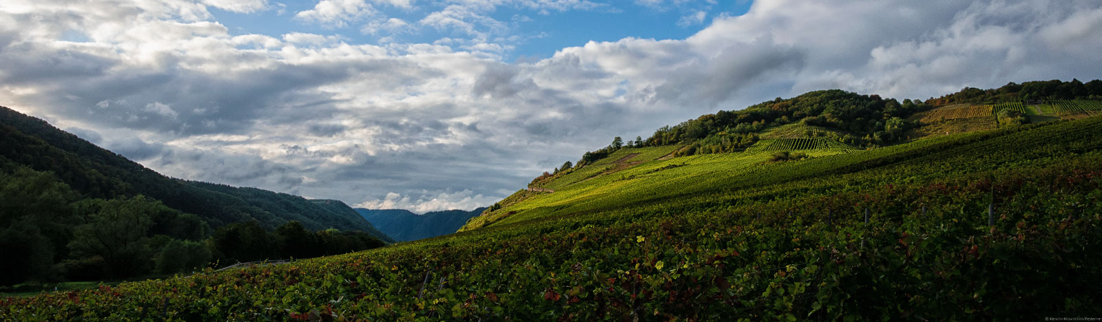 Der Nehrener Römerberg liegt hinter dem Ort Nehren an der Untermosel. Der Nehrener Römerberg ist eine flache bis steile Lage. Weit im Hintergrund erblickt man den Bremmer Calmont.