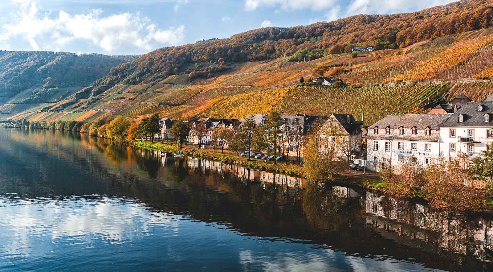 Im Herbst erstrahlen die Weinberge bei Piesport in bunter Pracht, so auch der Weinberg Piesporter Domherr an der Mittelmosel. Vorne links fließt der Fluss Mosel. Am Ufer rechts sind Bäume und Häuser. Am blauen Himmel sind Wolken.