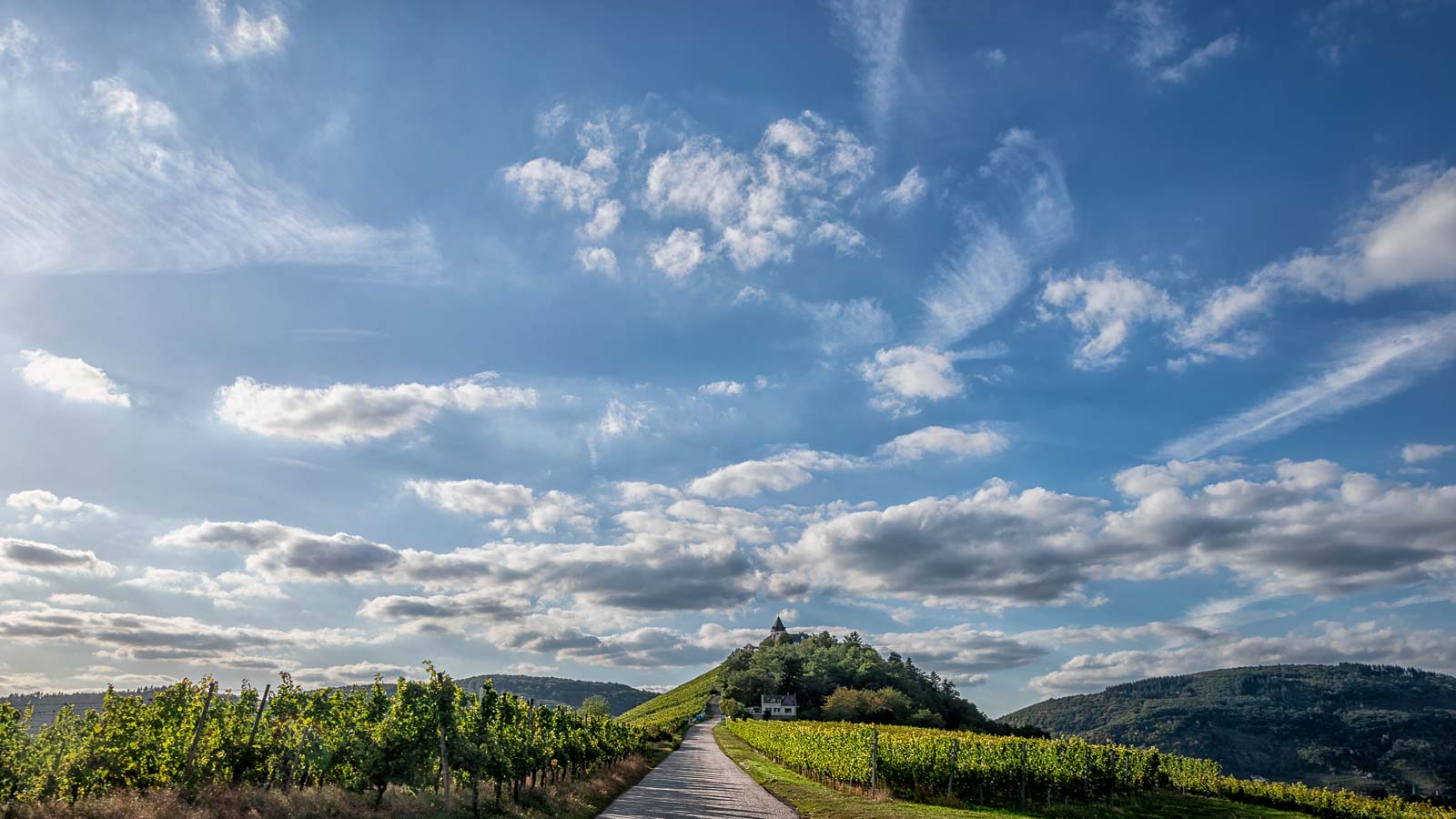 Links liegt der Weinberg Pündericher Nonnengarten. Hinten erkennt man das Kloster Marienburg.