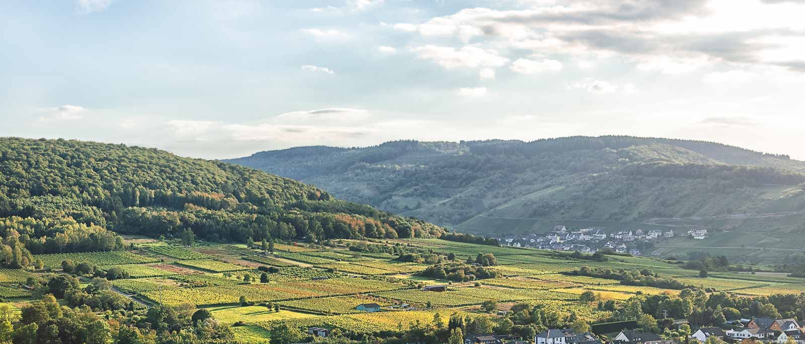 Hinter dem Ort Pünderich im Vordergrund liegt der Weingarten Pündericher Goldlay. Im Hintergrund erkennt man den Ort Reil.