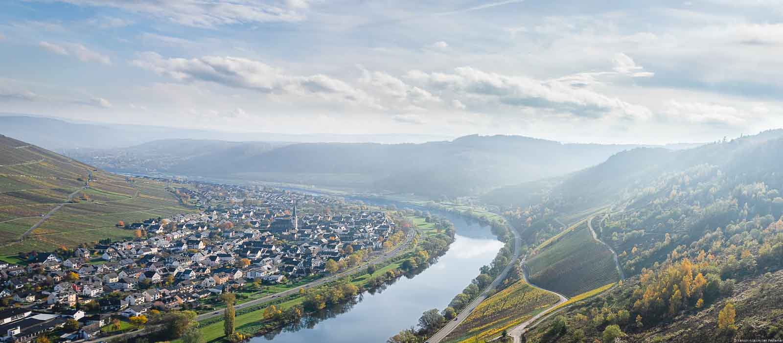 Ein für die Mittelmosel typischer Anblick bietet sich bei Zeltingen-Rachtig