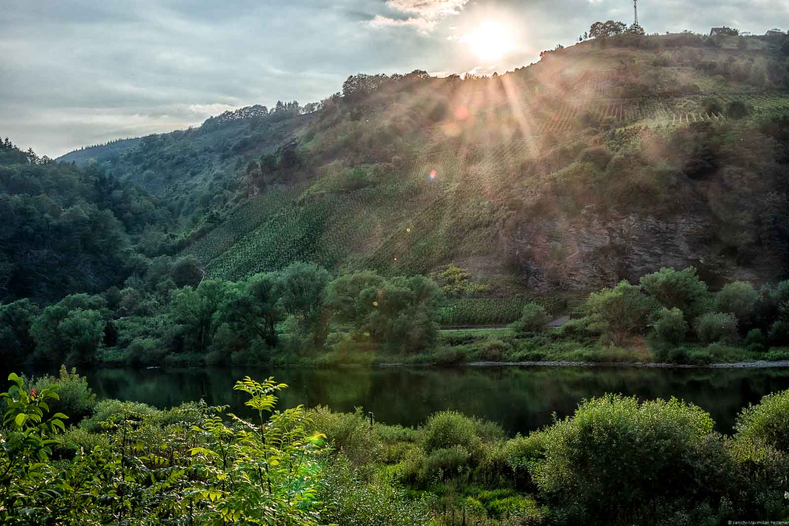Über den Felsen des Weinbergs Reiler Mullay-Hofberg geht die Sonne an der Mosel unter.