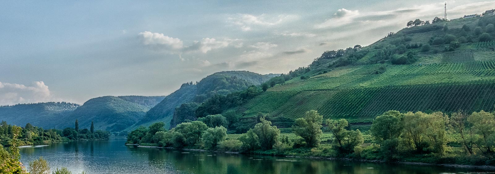 Von weiter Entfernung erkennt man die Schleife des Flusses Mosel und den Weinberg Reiler Mullay-Hofberg auf dem rechten Ufer.