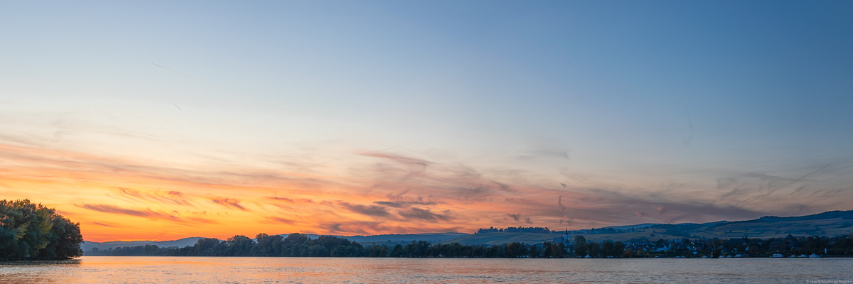 Fluss, Weinberge, Abendsonne am Rheingau