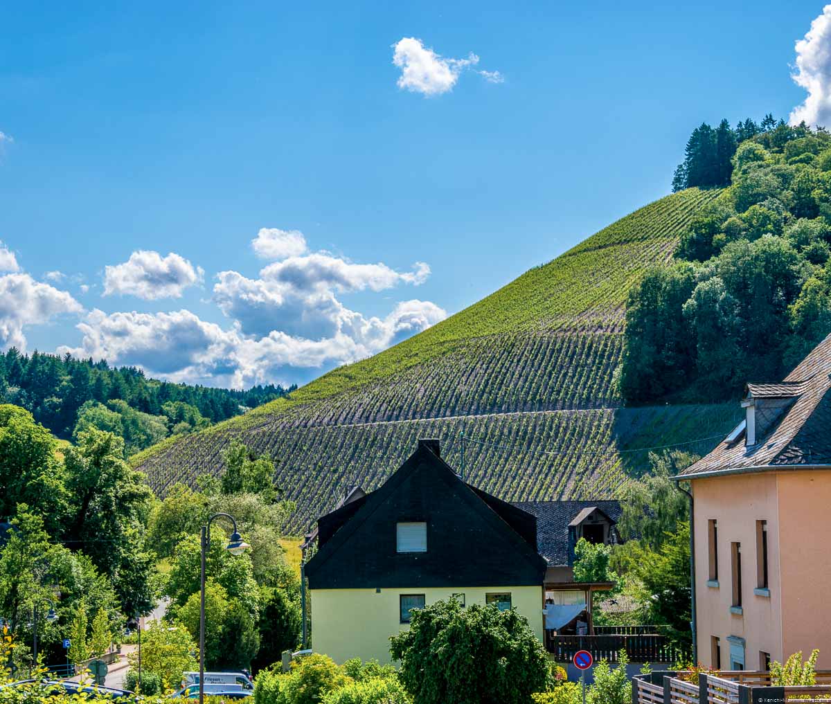 Ort Mertesdorf und Weinberg Waldracher Laurentiusberg mit blauem Himmel und einigen Wolken