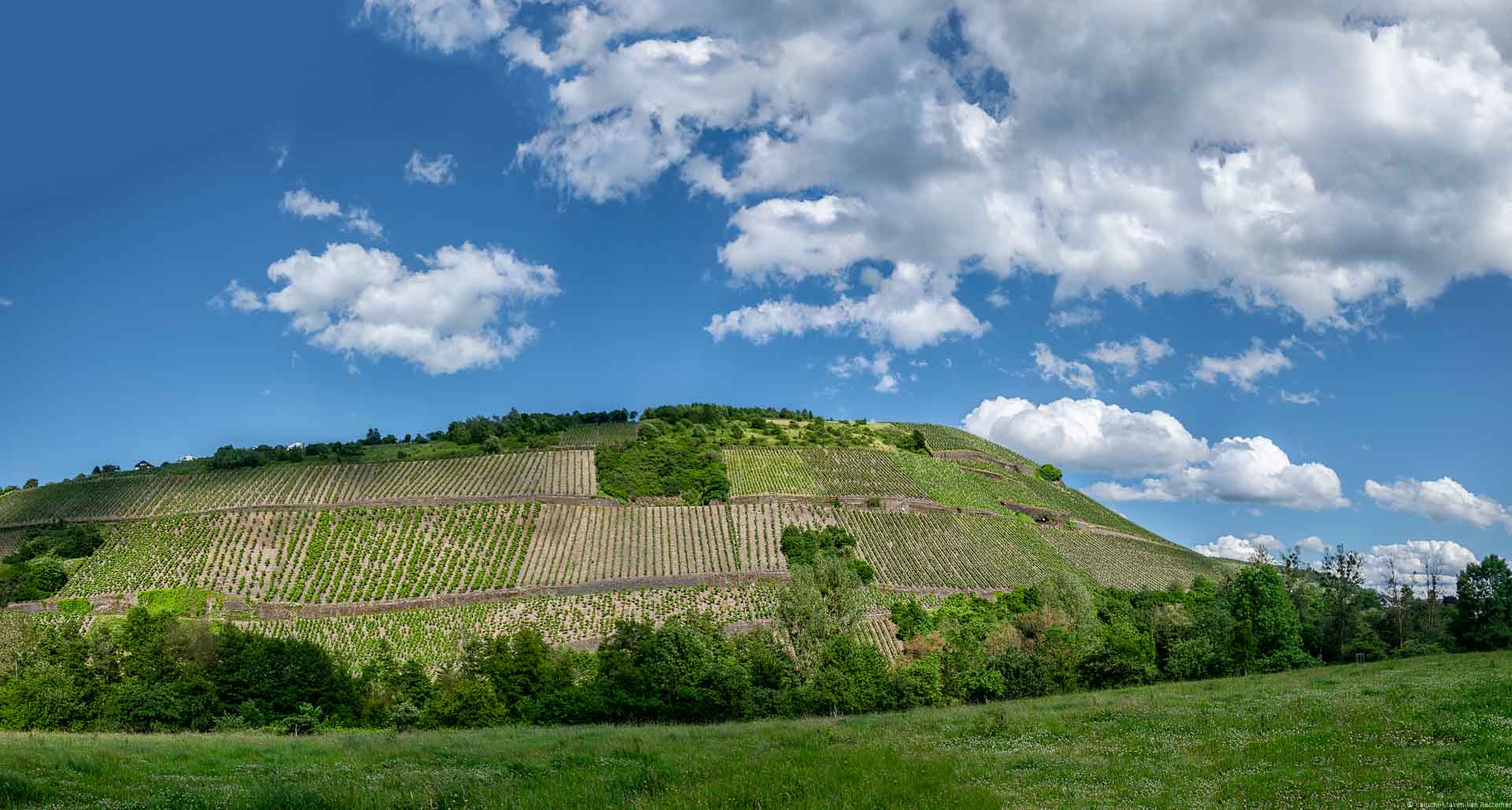 Das Mertesdorfer Mäuerchen liegt am unteren Ende des Berges in der Mitte des Bildes. Vorne ist eine Wiese. Der Himmel ist blau und zum Teil bewölkt.