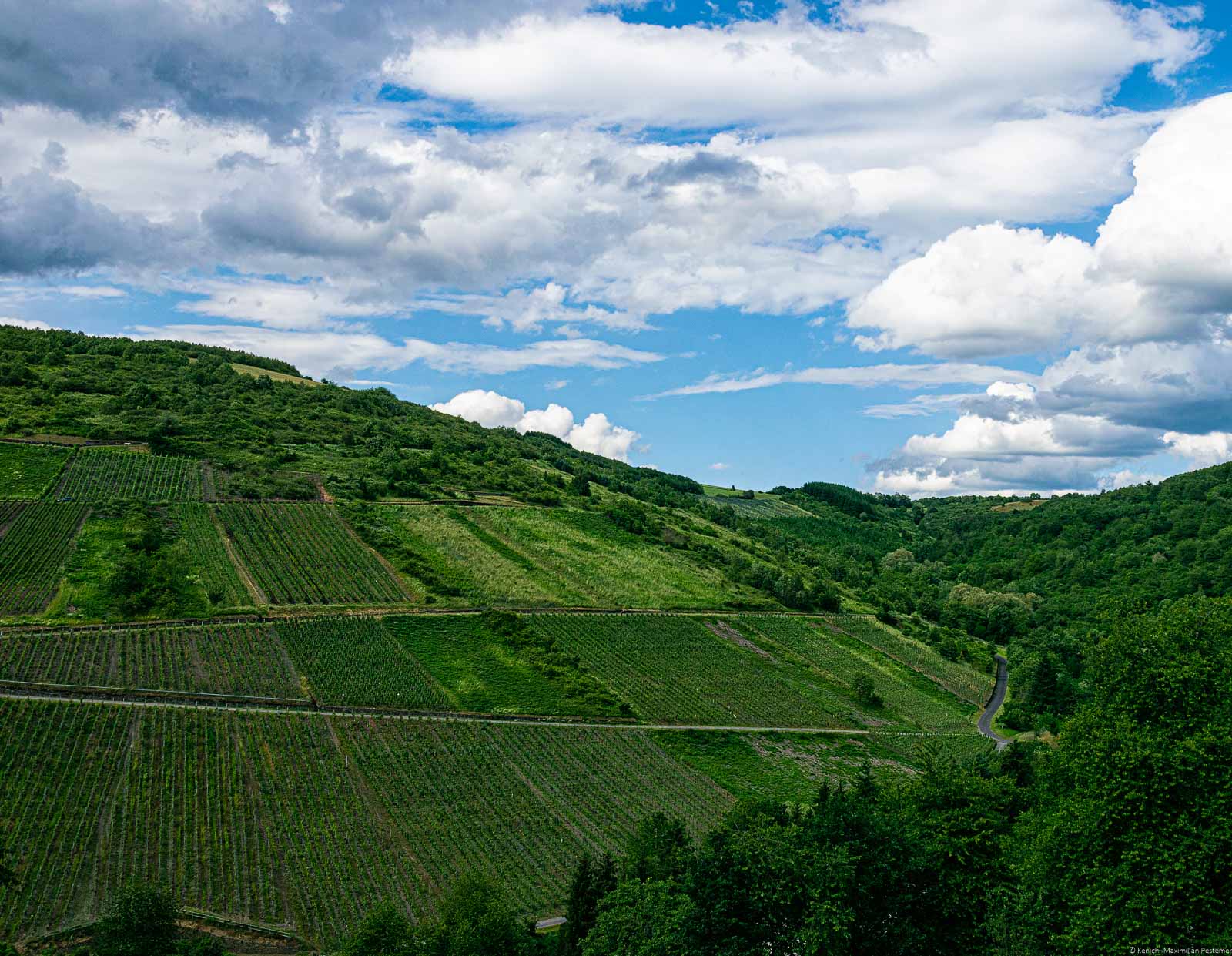 Steiler Weinberg Waldracher Meisenberg links unten; Wald rechts unten; blauer Himmel mit Wolken oben