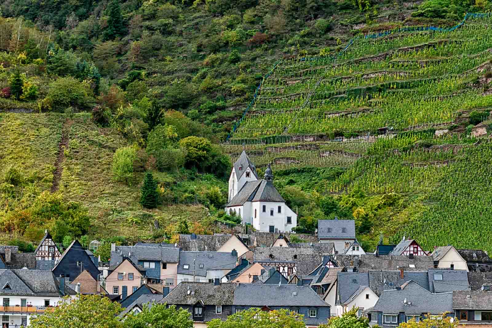 Hinter der Kapelle von Aldegund erkennt man die typischen Terrassen am Palmberg an der Untermosel.