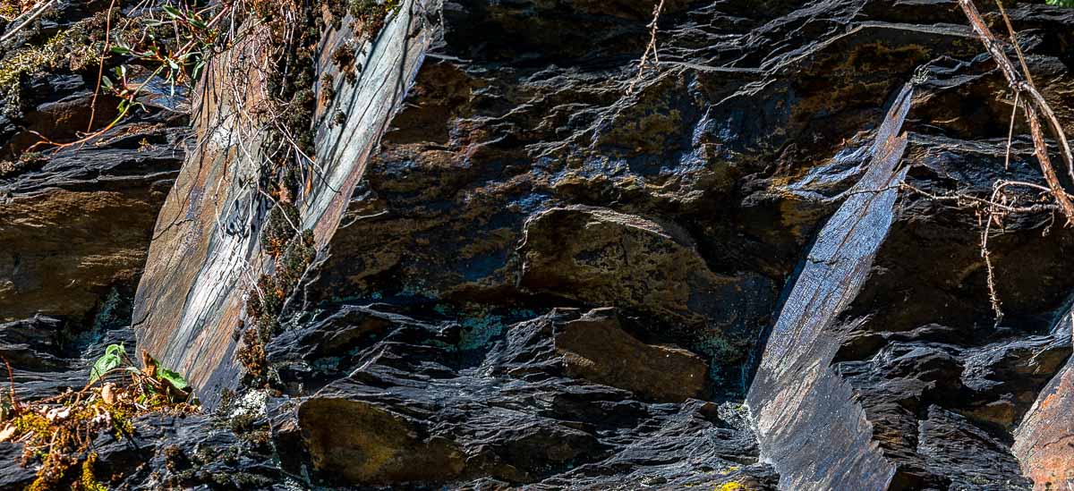 An der Ruwer gibt es Böden aus dunklem Tonschiefer wie hier im Weinberg Sommerauer Schlossberg