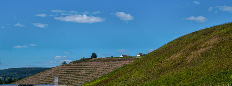Steiler Weinberg Thiergarten Felsköpfchen und unbewölkter Weinberg