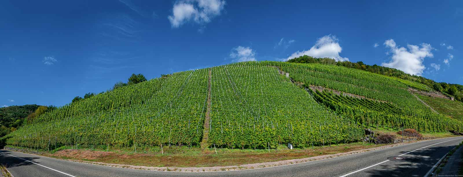 Vorne verläuft eine Straße. Der Weinberg Traben-Trarbacher Hühnerberg befindet sich hinter der Straße in grün und oben ist blauer Himmel.