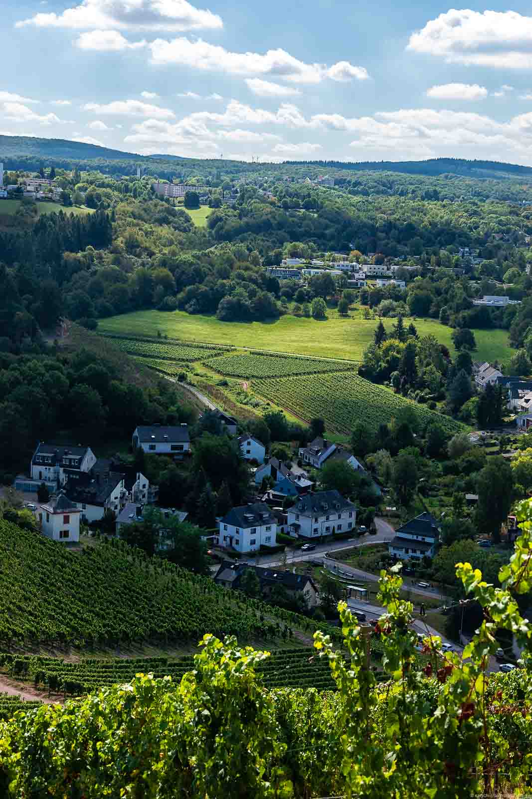Vom Deutschherrenberg blickt man auf das Olewiger Tal mit dem Trierer Benediktinerberg
