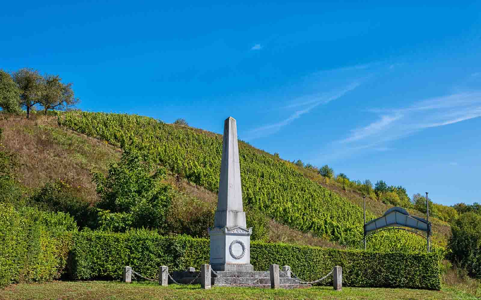 Der steile Hang Weinberg Trierer Burgberg vor einem Monument bei blauem Himmel.