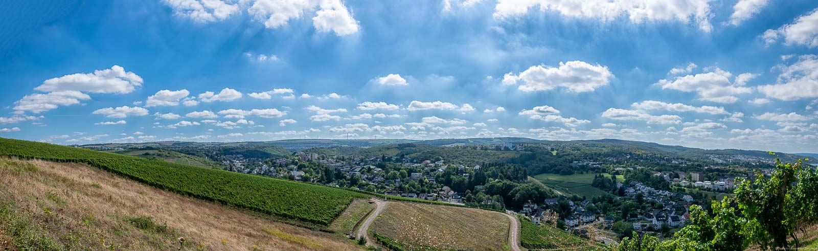 Der Weinberg Trierer Deutschherrenberg befindet sich direkt neben dem Ort Olewig in Trier. Der Himmel ist bewölkt.