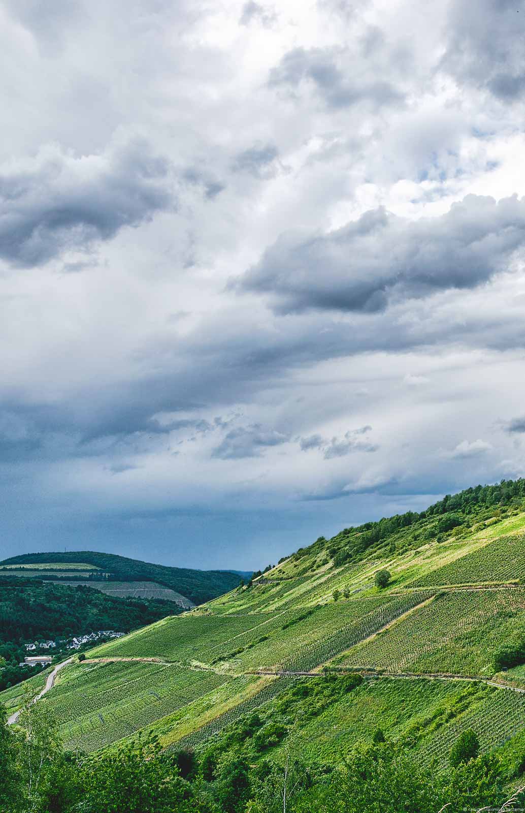 Der Waldracher Jesuitengarten befindet sich unten im mittleren Teil des Bildes; Oben ist der Himmel bewölkt.
