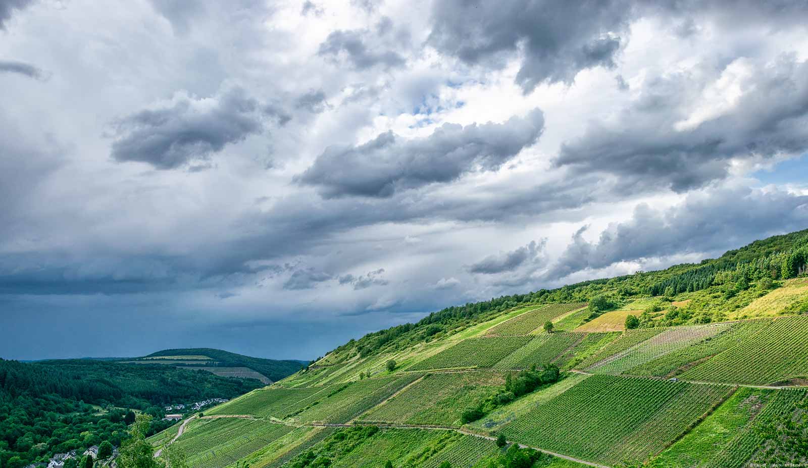 Die Ruwer ist ein Seitental der Mosel und bekannt für ihre leichten aromatischen Weine. Auf dem Foto erkennt man rechts einen der besten Weinberge der Ruwer-Weinregion, die Waldracher Krone. Am Himmel sind viele dunkle Wolken.