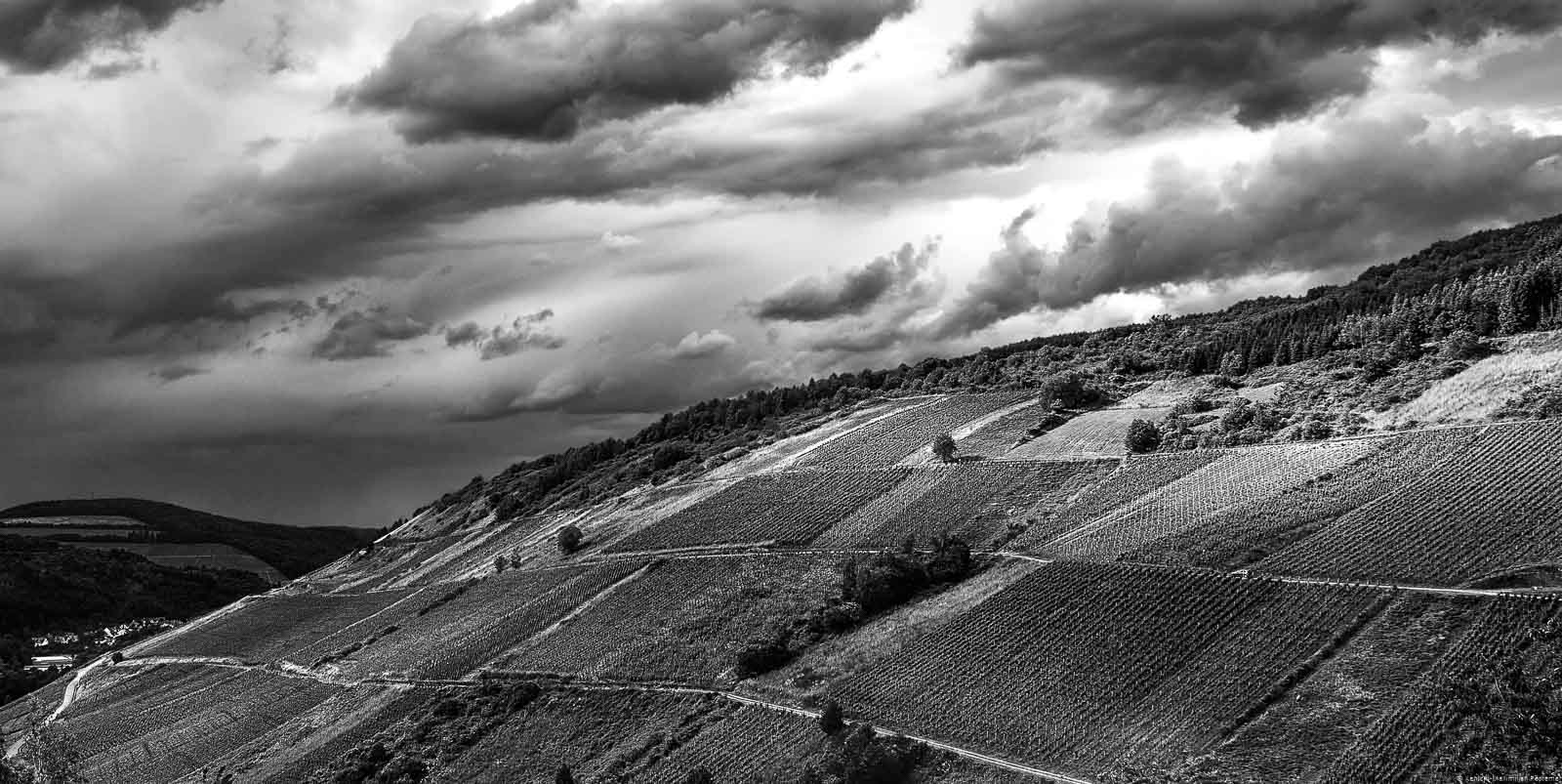 Der Weinberg Waldracher Krone ragt in das Ruwertal hinein. Oben ist der Himmel bewölkt.