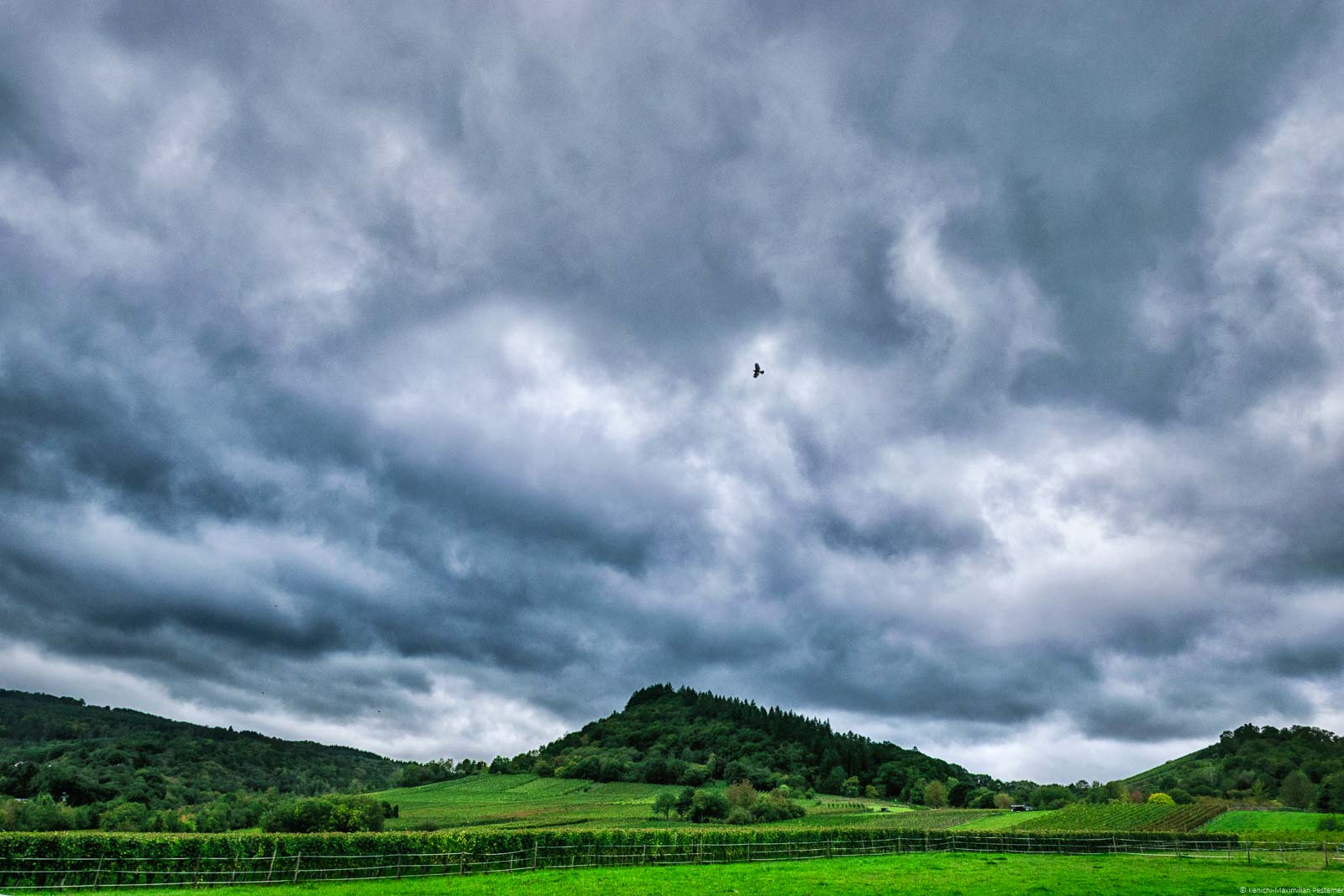 Weinberg Wolfer Schatzgarten und Regenwolken