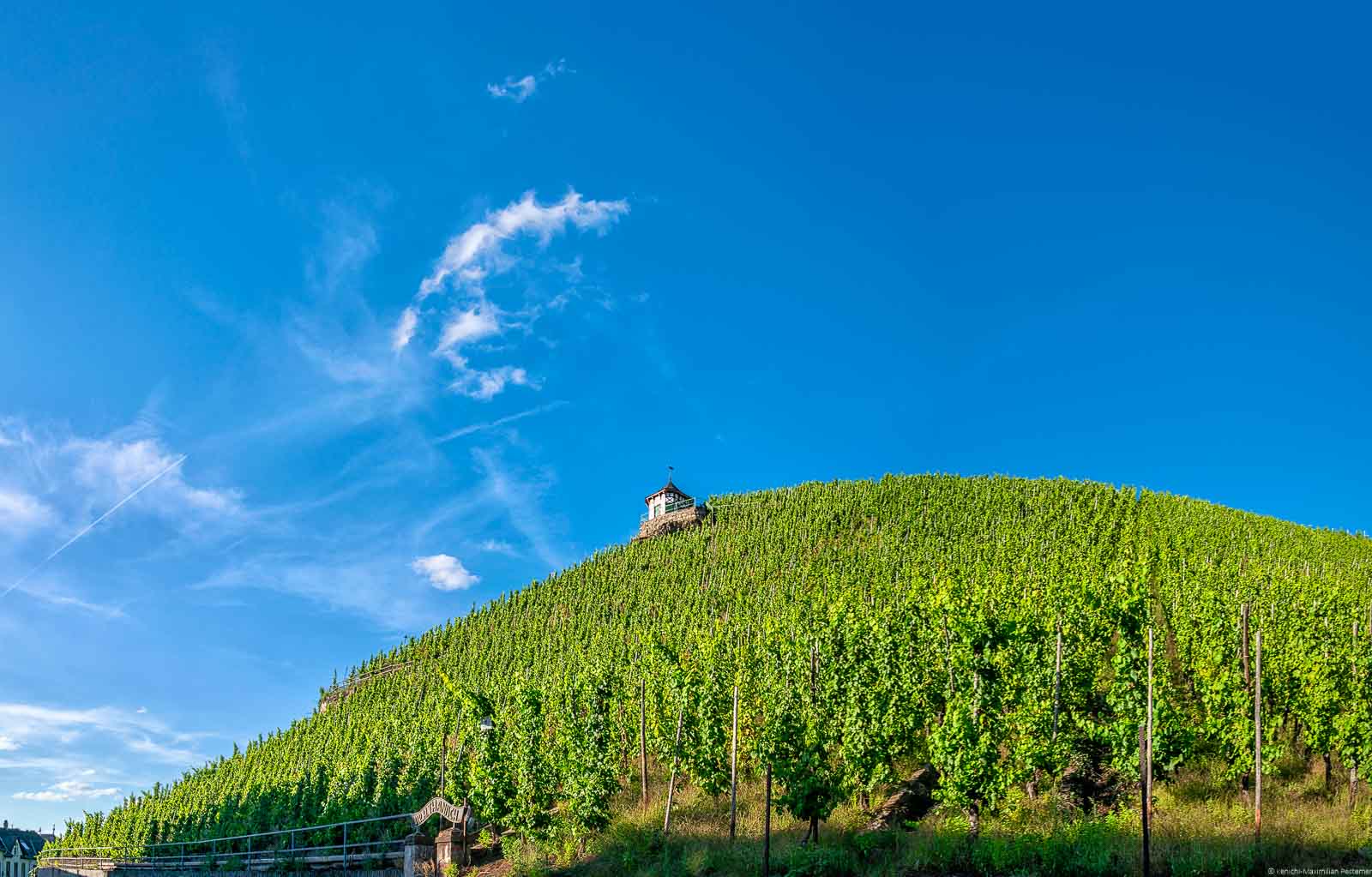 Vorne erkennt man den steilen Weinberg Bernkasteler Doctor. Auf dem Weinberg stehen Riesling-Rebstöcke. Von dem Weinberg kommt der berühmte Bernkasteler Doctor Riesling. Oben auf dem Hang ist ein sehr kleines Haus. Oben ist blauer Himmel. Links oben sind einige weiße Wolken.