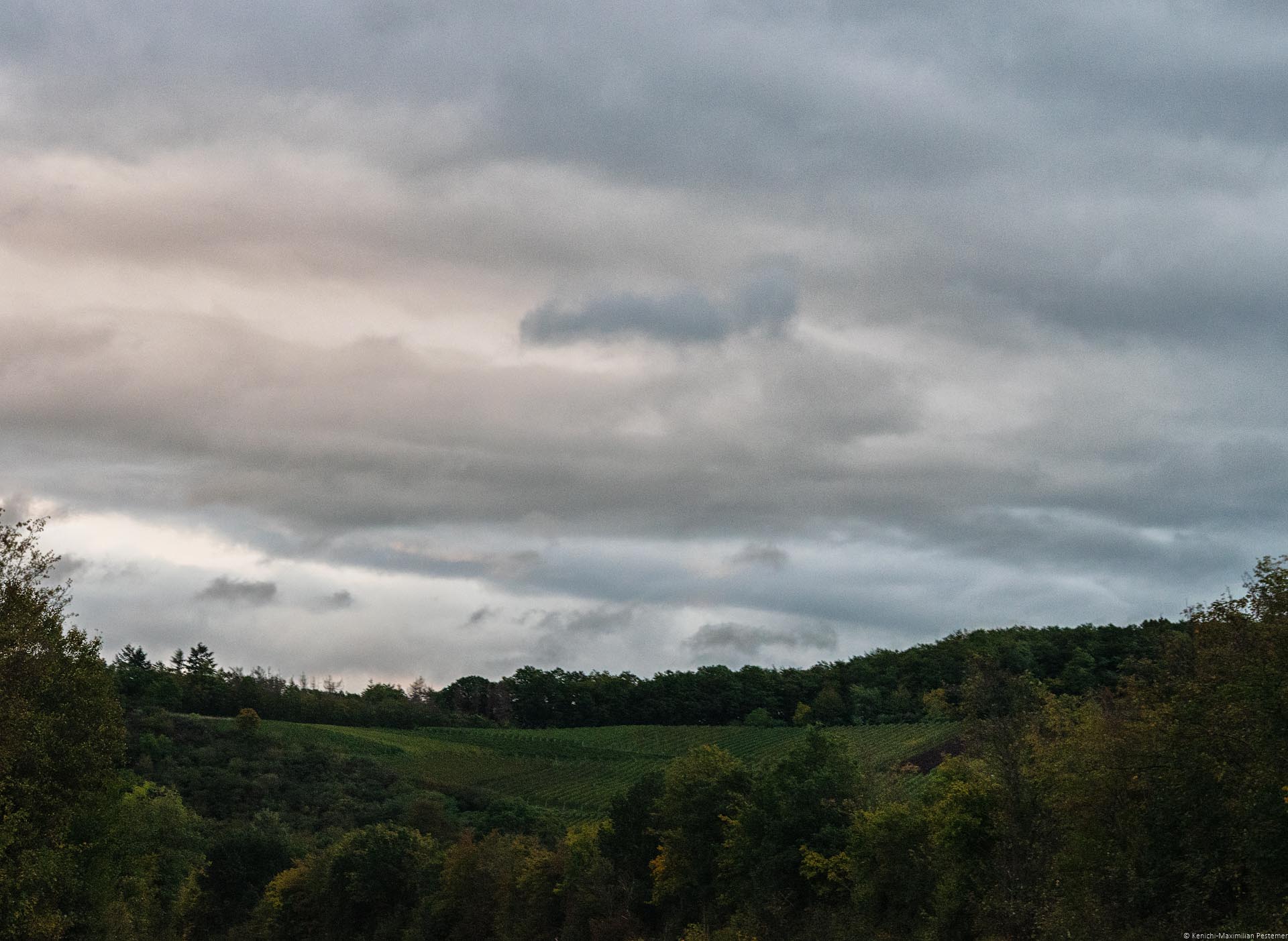 Weinberg Heimersheimer Kapellenberg im steilen Wald beim Sonnenuntergang mit bewölktem Himmel am späten Abend