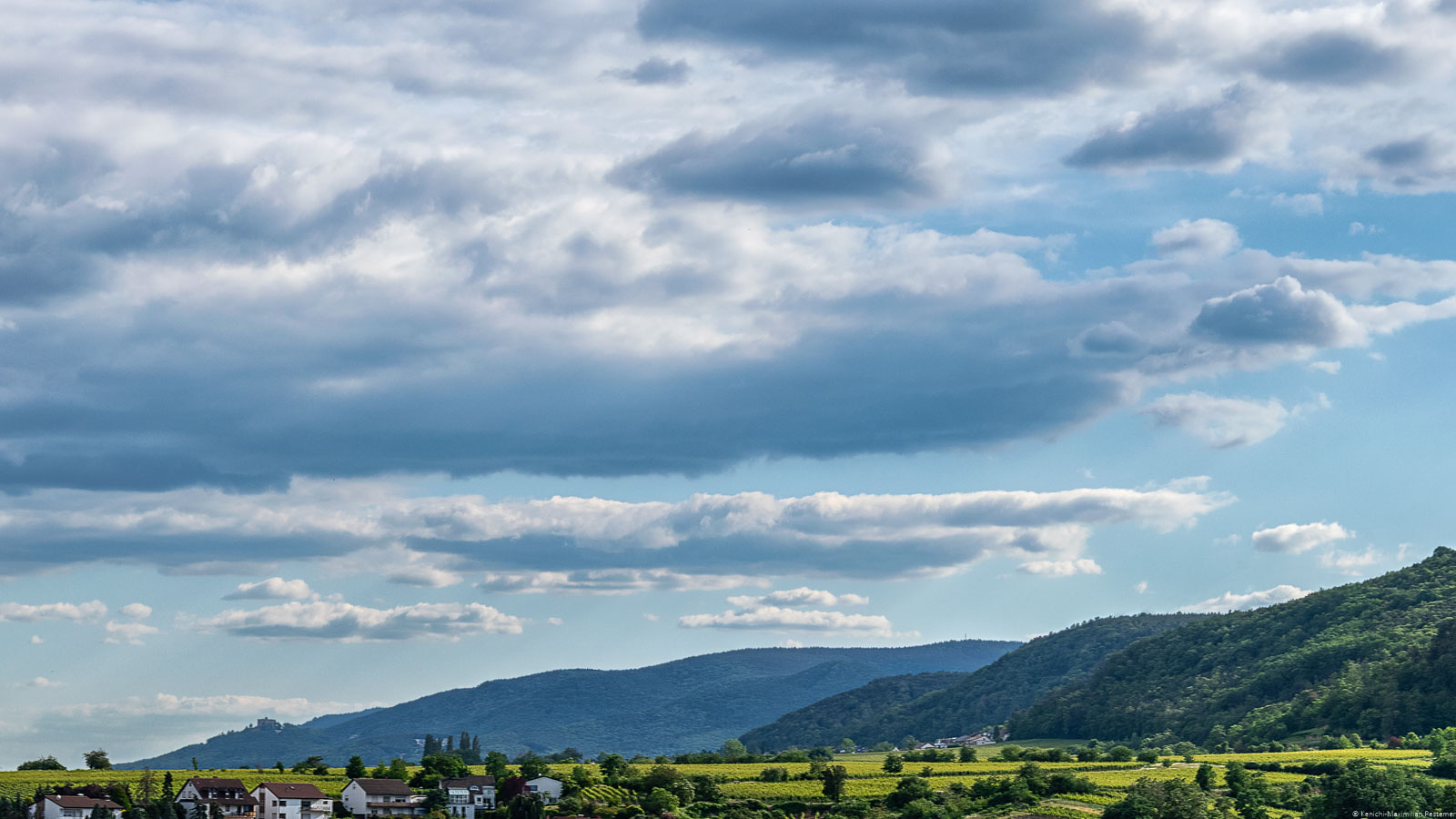 Weinberg Deidesheimer Reiterpfad in der Pfalz mit Bergen, Wald und Wolken