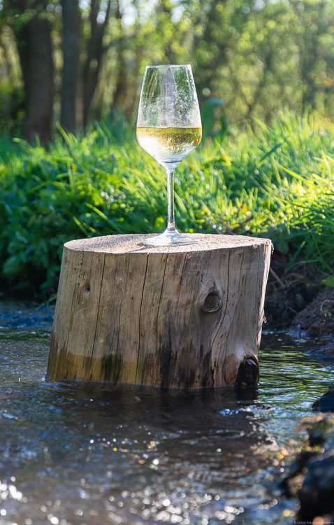 Bach, Riesling im Weinglas auf Holzklotz, Gräser, Bäume, Sonnenstrahlen