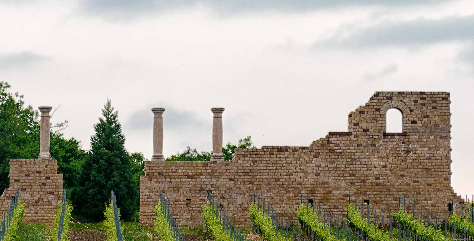 Ruinen von altem römischem Weingut bzw. alter Römervilla am Weilberg in der Pfalz mit Weinberg und bewölktem Himmel. Dort wurden einst vermutlichen eingige der ersten Pfalzweine hergestellt.