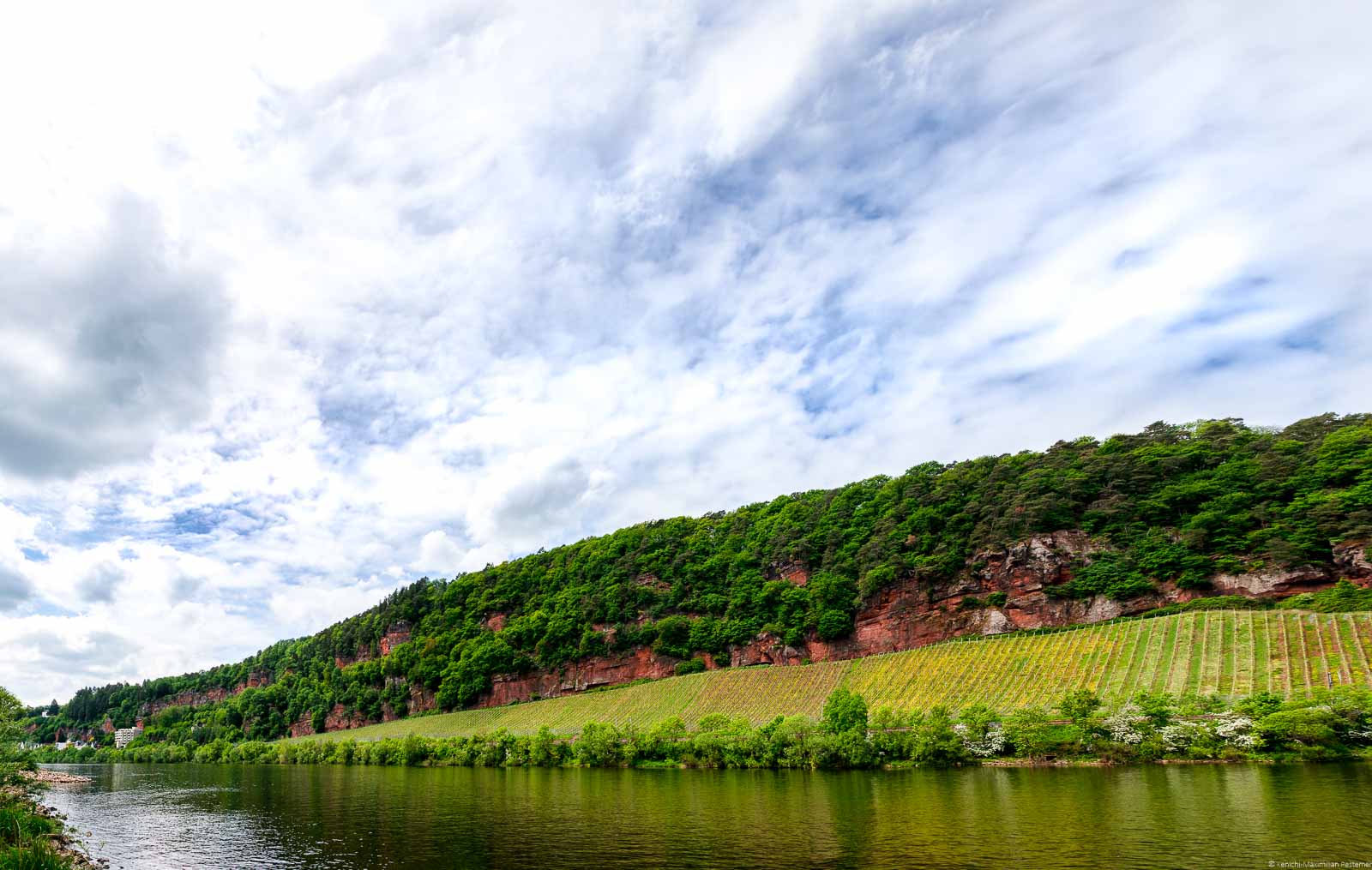 Vorne fließt die Mosel. Am gegenüberliegenden Ufer erkennt man den Weinberg Trierer Augenscheiner. Oberhalb des Weinbergs sind rote Felsen mit Wald. Links hinten sind einige Häuser. Der Himmel ist bewölkt.