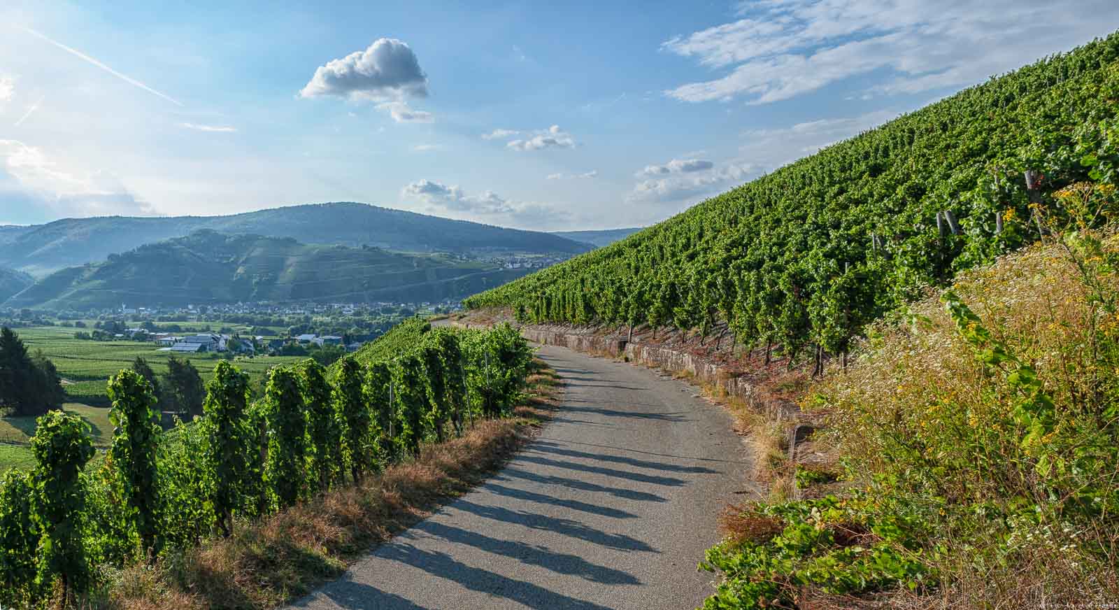Weg in Weinberg Brauneberger Klostergarten, Weinberge auf Hügeln, Fluss Mosel, Wolken am Himmel, Ort Brauneberg