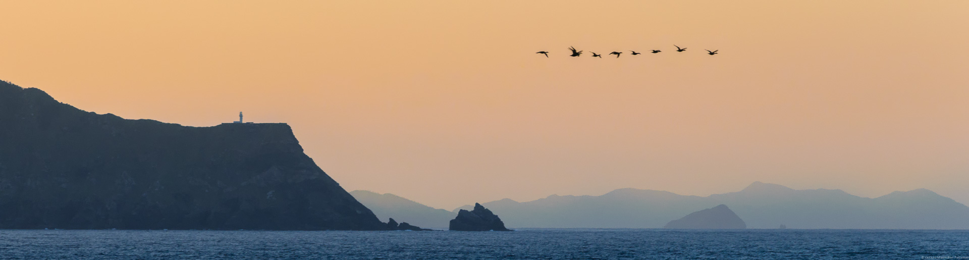 Küstenfelsen; Südjapan; Vögel; Flug; Sonnenaufgang; Titelbild von Richard Pestemers Wein-Haikus auf Vinaet