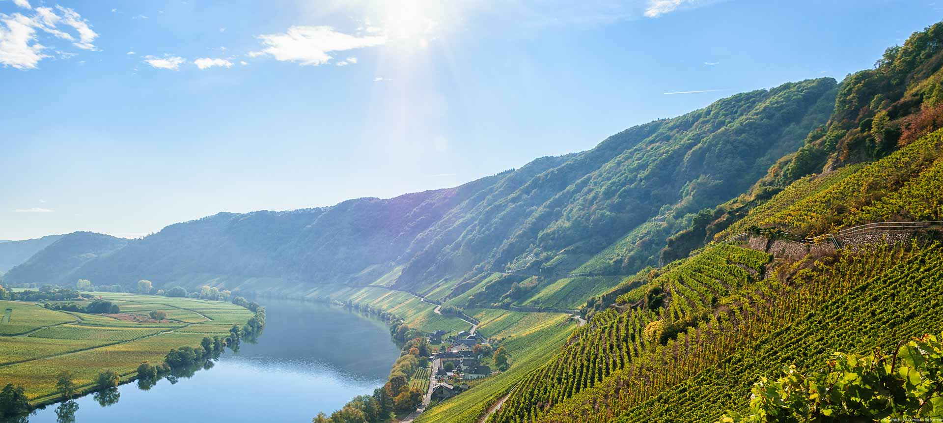 Links fließt der Fluss Mosel. Am linken Ufer sind bunte flache Weinberge im Herbst. Am rechten Ufer liegt der Ort Ferres. Am rechten Ufer sind steile Weinberge. Mitten darin liegt der Weinberg Piesporter Schubertslay. Im Hintergrund sind Wälder am rechten Ufer. Die Sonne scheint am blauen Himmel.