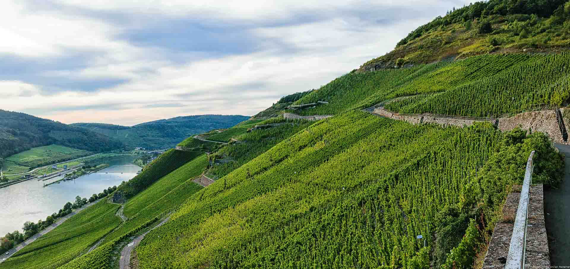 Blick von Weinberg Zeltinger Sonnenuhr auf Fluss Mosel hinab am Abend mit Weinbergen von Martin Schömann im Hintergrund sowie Wolken am Himmel