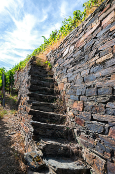 Man erkennt eine Treppe aus Schiefer und Grauwacke im Weinberg Ahrweiler Silberberg. Am Himmel sind oben einige Wolken.