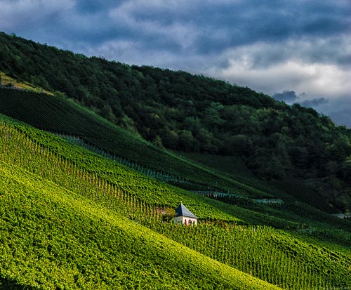 Häuschen im steilen Weinberg Graacher Himmelreich