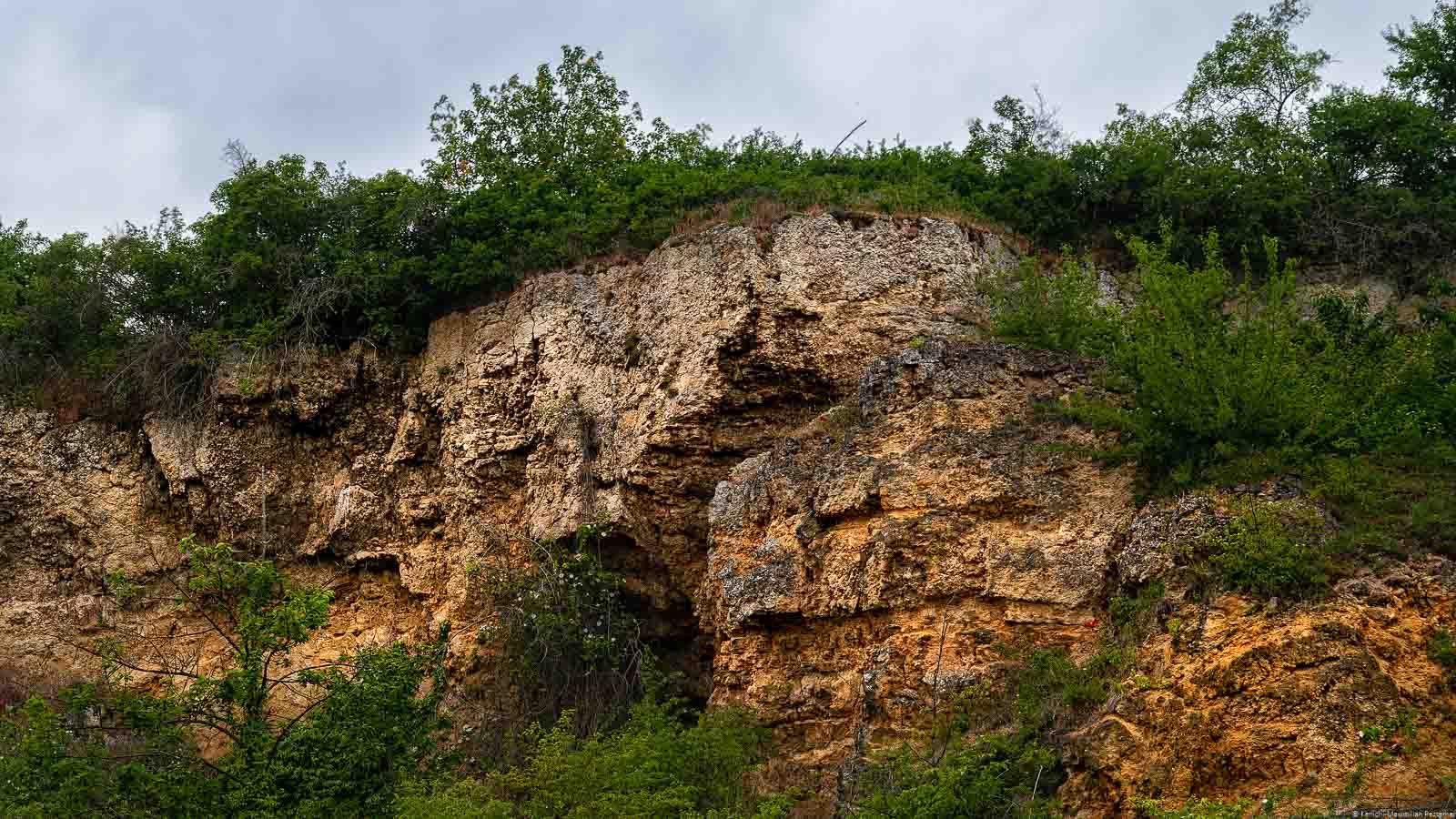 Auf dem Bild erkennt man ein Muschelkalkmassiv in der Weinregion Pfalz beim Ort Kallstadt. Auf dem Massiv sind Büsche. Oben sind Wolken am dunklen Himmel.