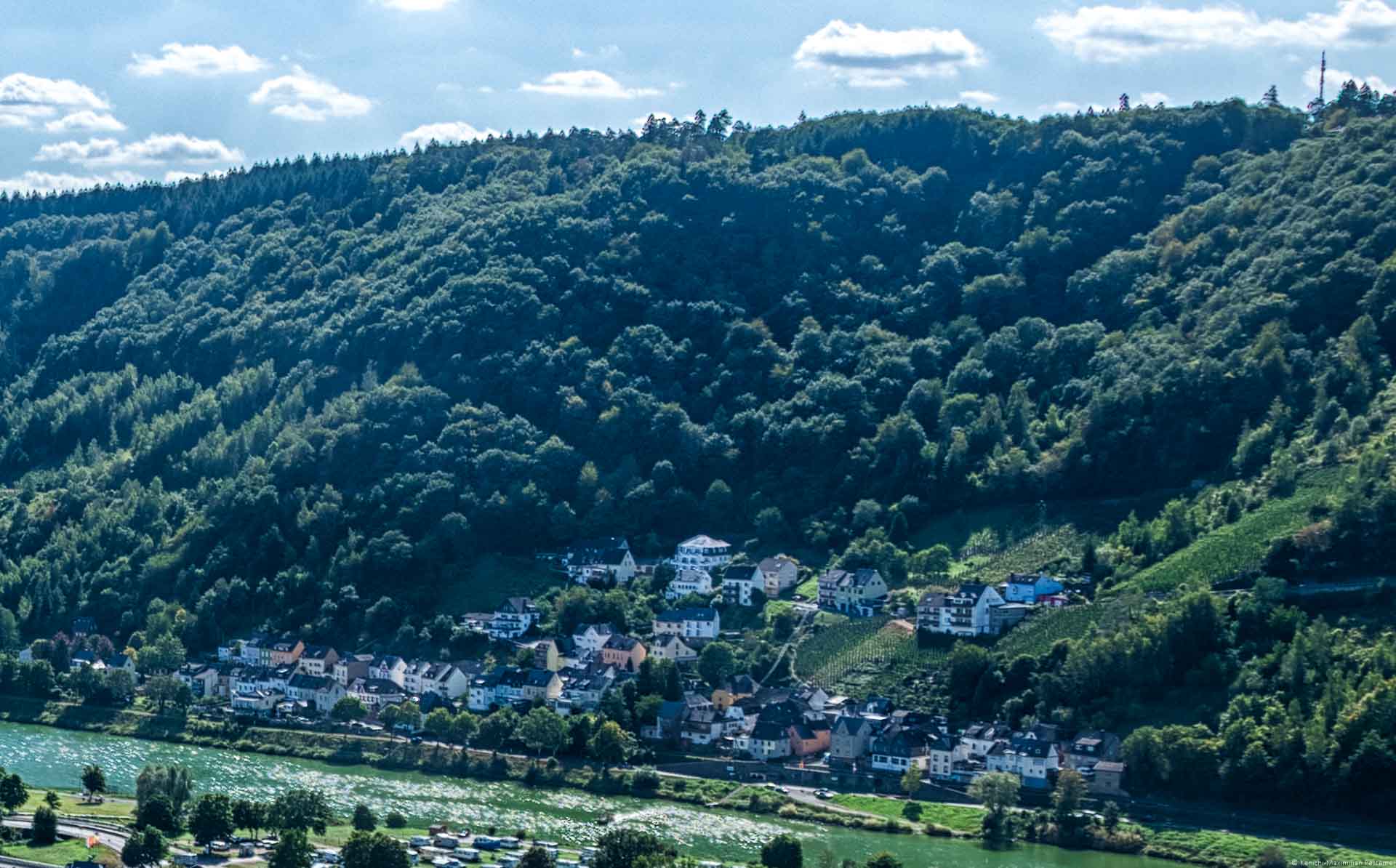 Der Weinort Kövenig schmiegt sich in den bewaldeten Hang hinein. Im Ort befinden sich die Weingärten des Kröver Herrenberg. Dieser ist auch als Köveniger Herrenberg bekannt. Am blauen Himmel sind einige wenige weiße Wolken.