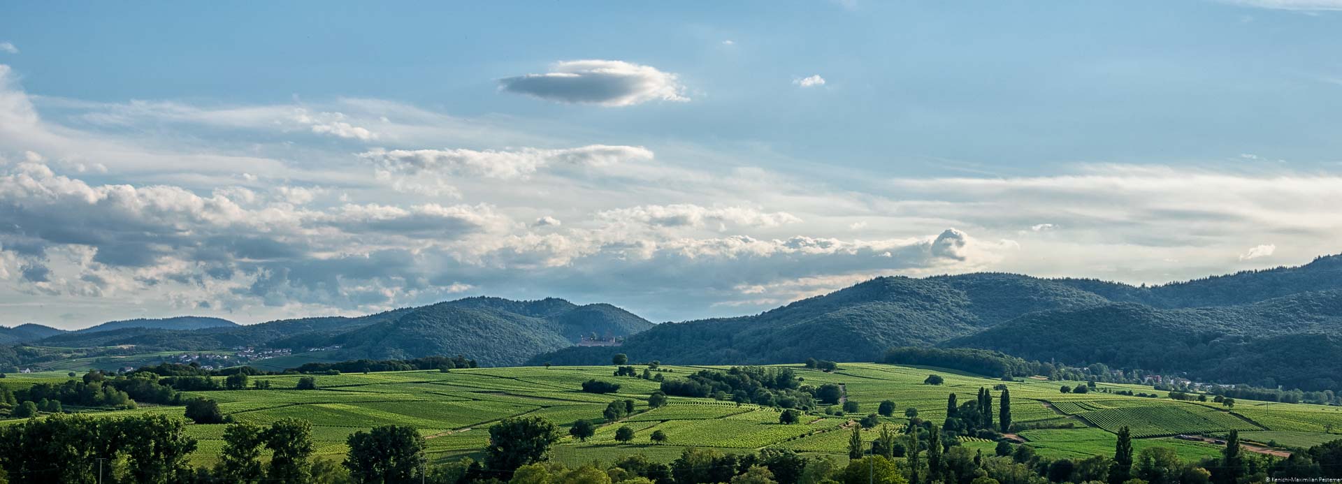 Unten im Bild erkennt man die Weinberge der Südfpalz. Dahinter türmen sich bewaldete Hügel im Mittelgebirge auf. Am blauen Himmel sind viele Wolken. Im Hintergrund sind Dörfer und eine Burg in der Pfalz erkennbar.